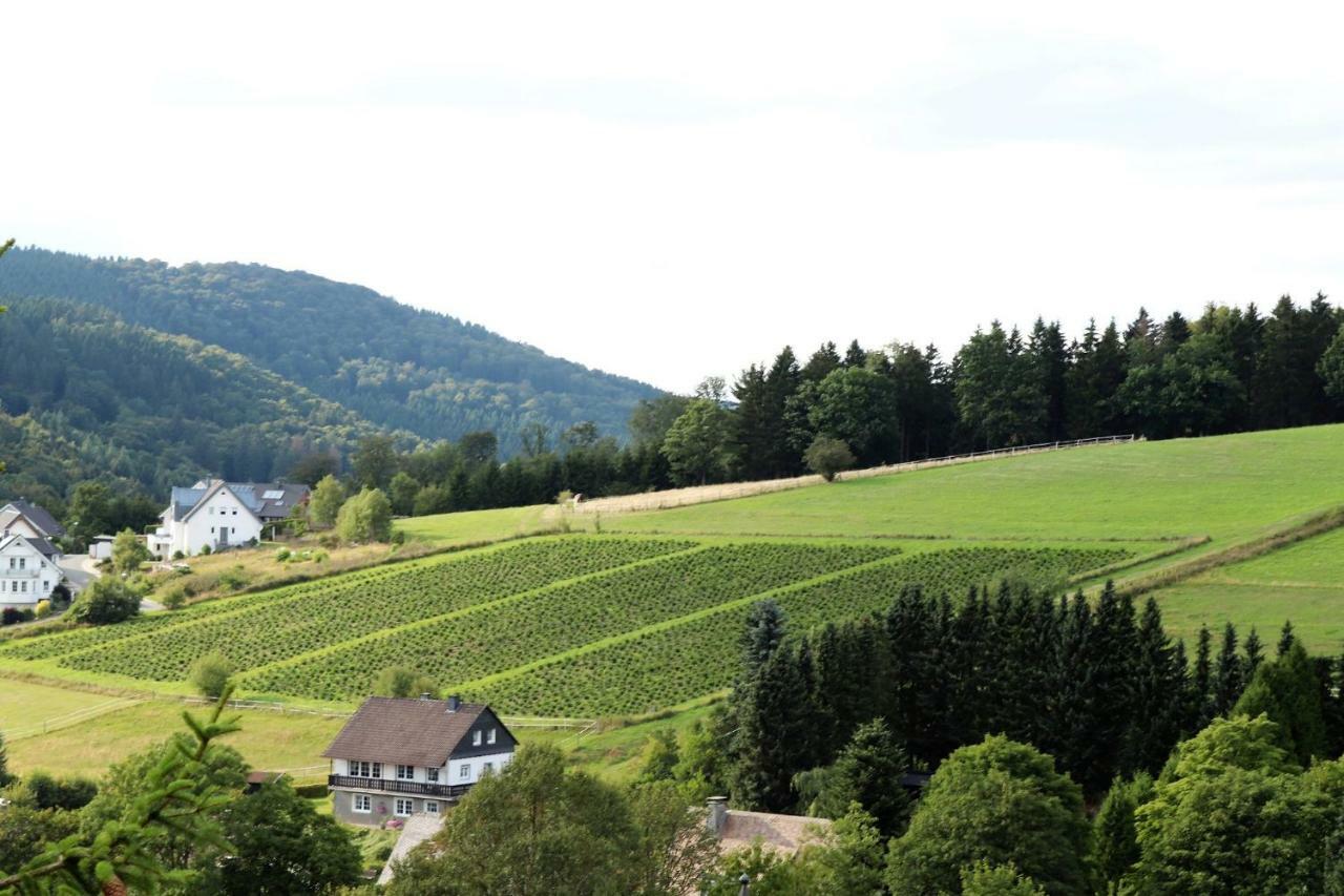 Maison d'hôtes Gretel Von Birne *